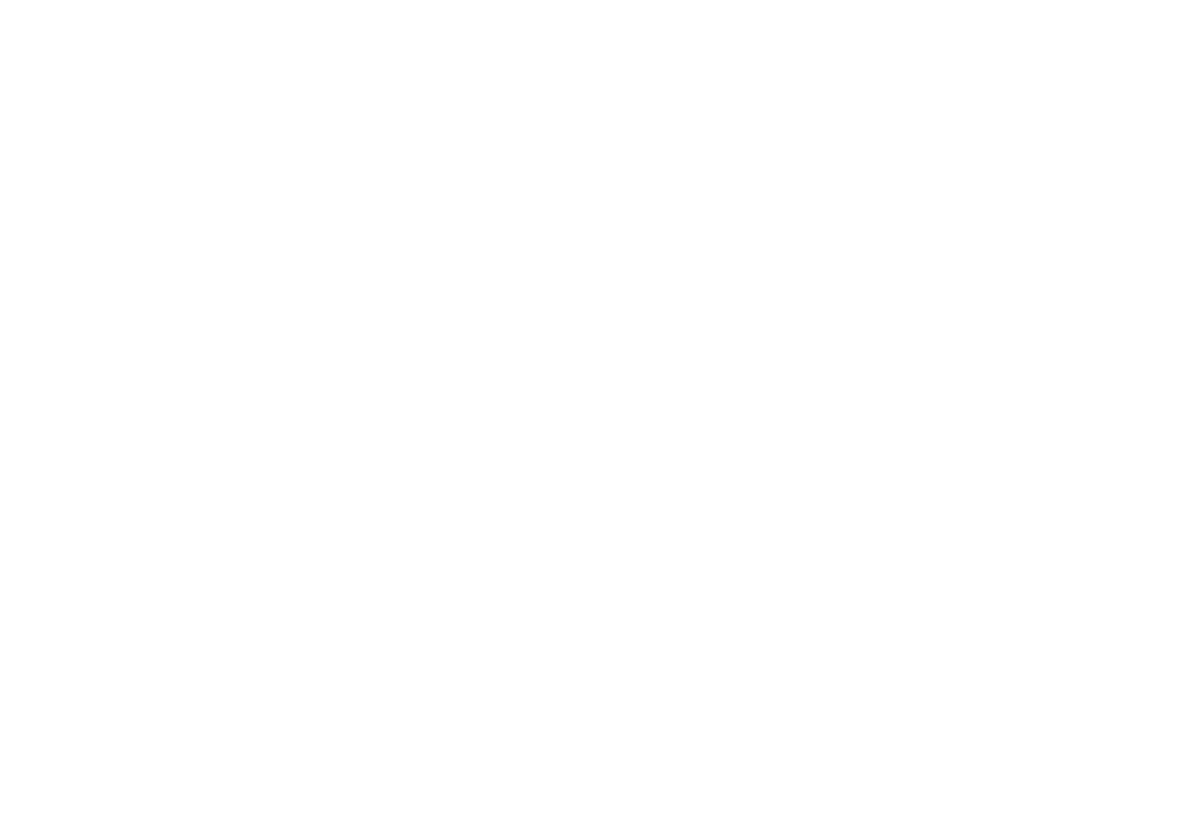 IL FORZA